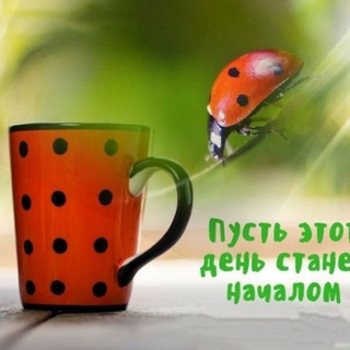 Логотип @everyday_for_you - С Добрым утром! 💌