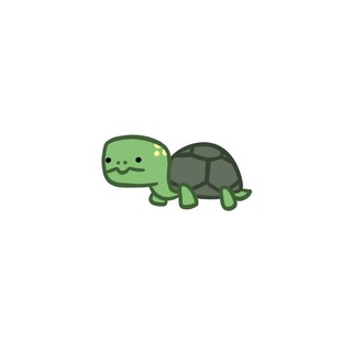 Логотип @everyday_turtle - 🐢everyday turtle🐢