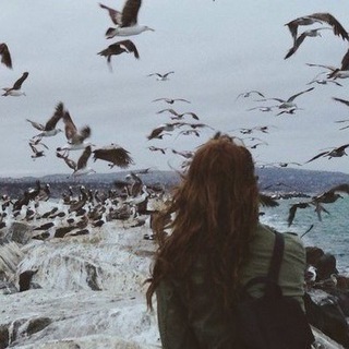 Логотип @everydaypsychology - Everyday Psychology