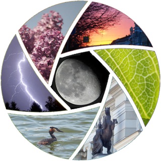 Логотип @everykey - ФОТО:МЫСЛИ