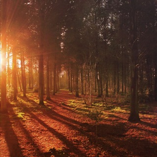 Логотип @everythingintr - Everything