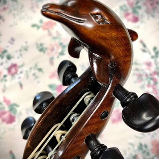 Логотип @evgeniysinitsyn - Viola da gamba🎶 🌏