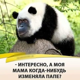 Логотип @evil_cynic - Злобная Циничка - Юмор без границ