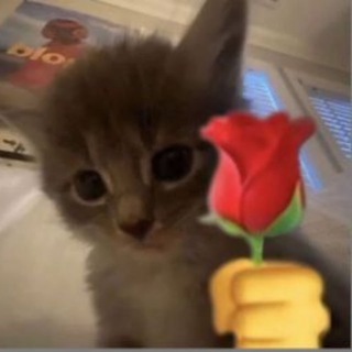 Логотип @evilmeet2chat - Гениальный Chat
