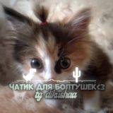 Логотип @evkadi - чатик для болтушек🫣🎀