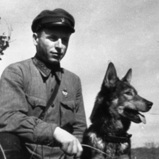 Логотип @evnoazef - Карацупа