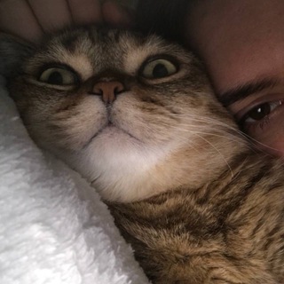 Логотип @evo111com - Уютный чатик🥰 EVO✨