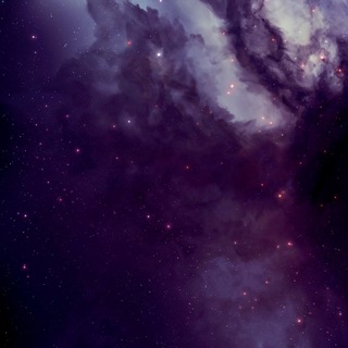 Логотип @evobeatz - evo