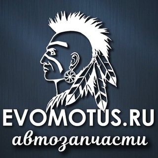 Логотип @evomotus_ru - ЭвоМотус. 📣 Обзор автомобилей, роботы, технологии, новости. ️ ️