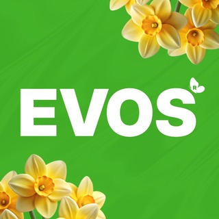 Логотип @evosuzbekistan - EVOS
