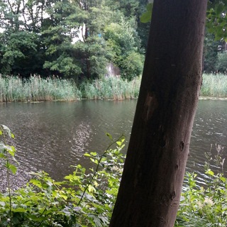 Логотип @ew_gruppen_info - EW Gruppen Infokanal