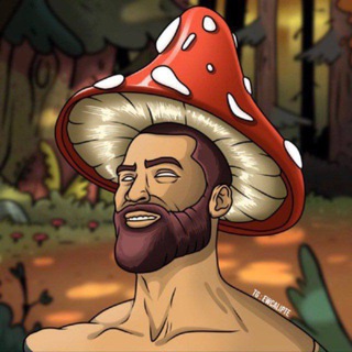 Логотип @ewcalipte - мухомoр