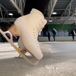 Логотип @ewikw - ice family💓