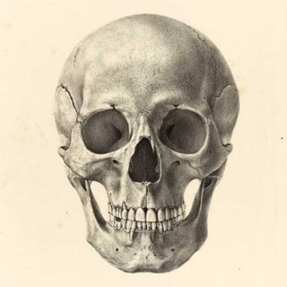 Логотип @ex_arte_archive - ex arte | archive