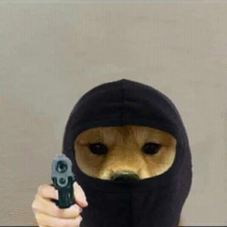 Логотип @exalttg - секретный тг ексальта