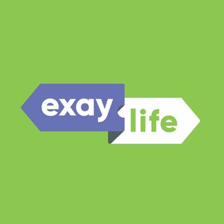 Логотип @exaylife - ЕХАЙЛАЙФ