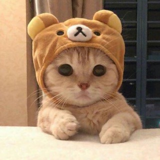 Логотип @exclmus2chat - ⚡️𝕄𝕦𝕣𝕫𝕚𝕜 𝕔𝕙𝕒𝕥⚡️