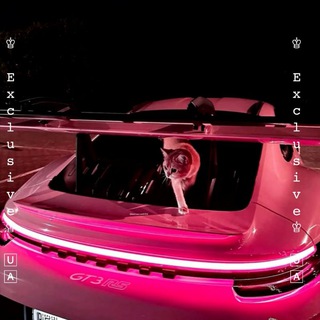 Логотип @exclusive1p - ♔︎𝙴𝚡𝚌𝚕𝚞𝚜𝚒𝚟𝚎♔︎🅄🄰