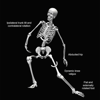 Логотип @exerciseismedicine - Science of Biomechanics, Sports Injuries, Pain and Musculoskeletal disorders