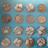 в смысле музей?