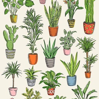 Логотип @exins_plants_chat - Маньяк-выращиватель ЧАТ