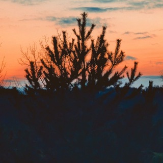 Логотип @existenceukrainienne - Les Belles Images