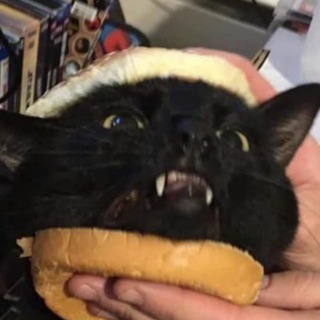 Логотип @exmanga - ExManga - бесплатные главы