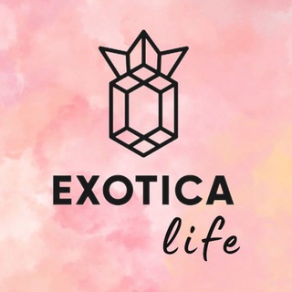 Логотип @exoticastudiospb - Exotica Life