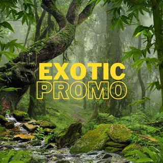 Логотип @exoticpromoes - Exotic Promo
