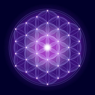 Логотип @expansionconsciencia - Expansión de consciencia y desarrollo humano