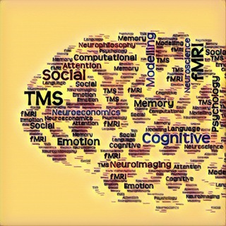 Логотип @experimentshse - HSE Moscow Neuro-Cognitive Experiments