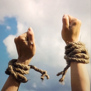 Логотип @expert_co_zavisimosti - Границы, а не стены. Зависимость и созависимость как она есть 🌗