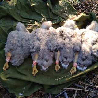 Логотип @expkart - Экспедиционные картинки