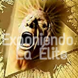 Логотип @exponiendolaelite - Exponiendo La Élite