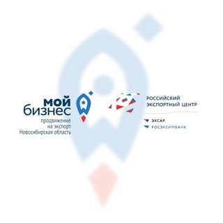 Логотип @exportnso - PRO Экспорт | Новосибирская область