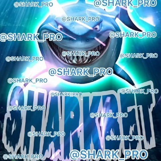 Логотип @express_1xxx - SHARKBET