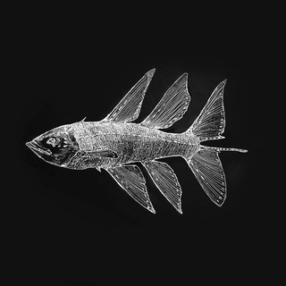 Логотип @ext_a_z - ext_a_z