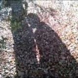 Логотип @extm3u - EXTM3U