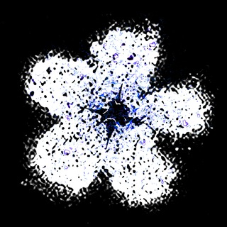 Логотип @extndd - 𝗲𝘅𝘁𝗻𝗱𝗱++𝘀𝗵𝗲𝗹𝘁𝗲𝗿