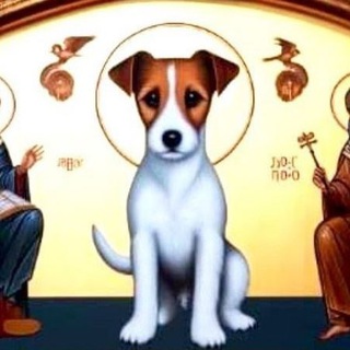 Логотип @eyeswithnolies - Крижаний погляд Пса Патрона