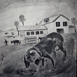 Логотип @eyufkr123 - የእርሳስ ስዕሎች ✏️ arts