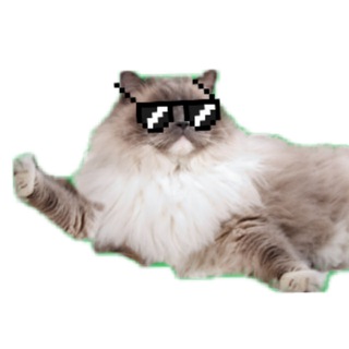 Логотип @ezbns - EzBonus