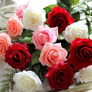 Логотип @ezhikdobryy - Ёжик Добрый