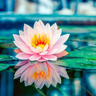 Логотип @ezoterico - 💫🪐✨АФИРМАЦИИ✨🪐💫