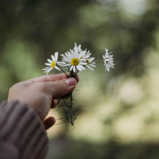 Логотип @f0r0u - 𝐅𝐨𝐫 𝐲𝐨𝐮🤍