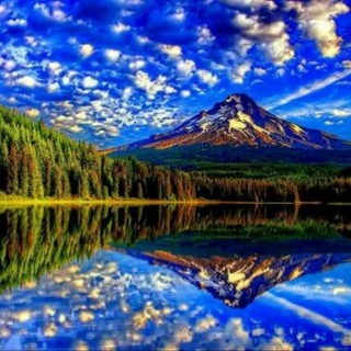 Логотип @f0t0_1 - Удивительные Фото и Видео