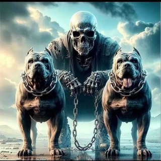 Логотип @f5_47z - Бойцы невидимого фронта 😎