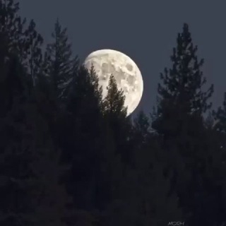 Логотип @f_ul_u_tuk_a - Красивые Цитаты💫