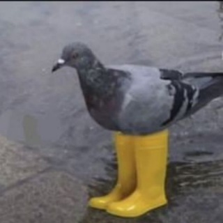 Логотип @facfacts - Факты Факты