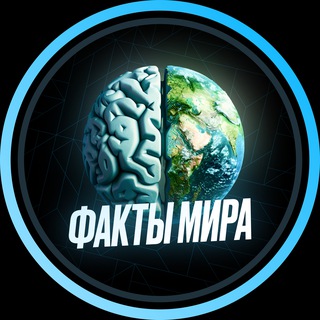 Логотип @facktimir - Факты мира